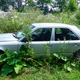 Illustration for article titled Two Years and 180 Cars Later, Michigan Man Forced to Sell 20 Cars A Month Has Eight Days To Clear His Lot